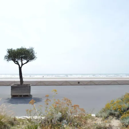 Np370-005 Studio, Apartament Narbonne-Plage